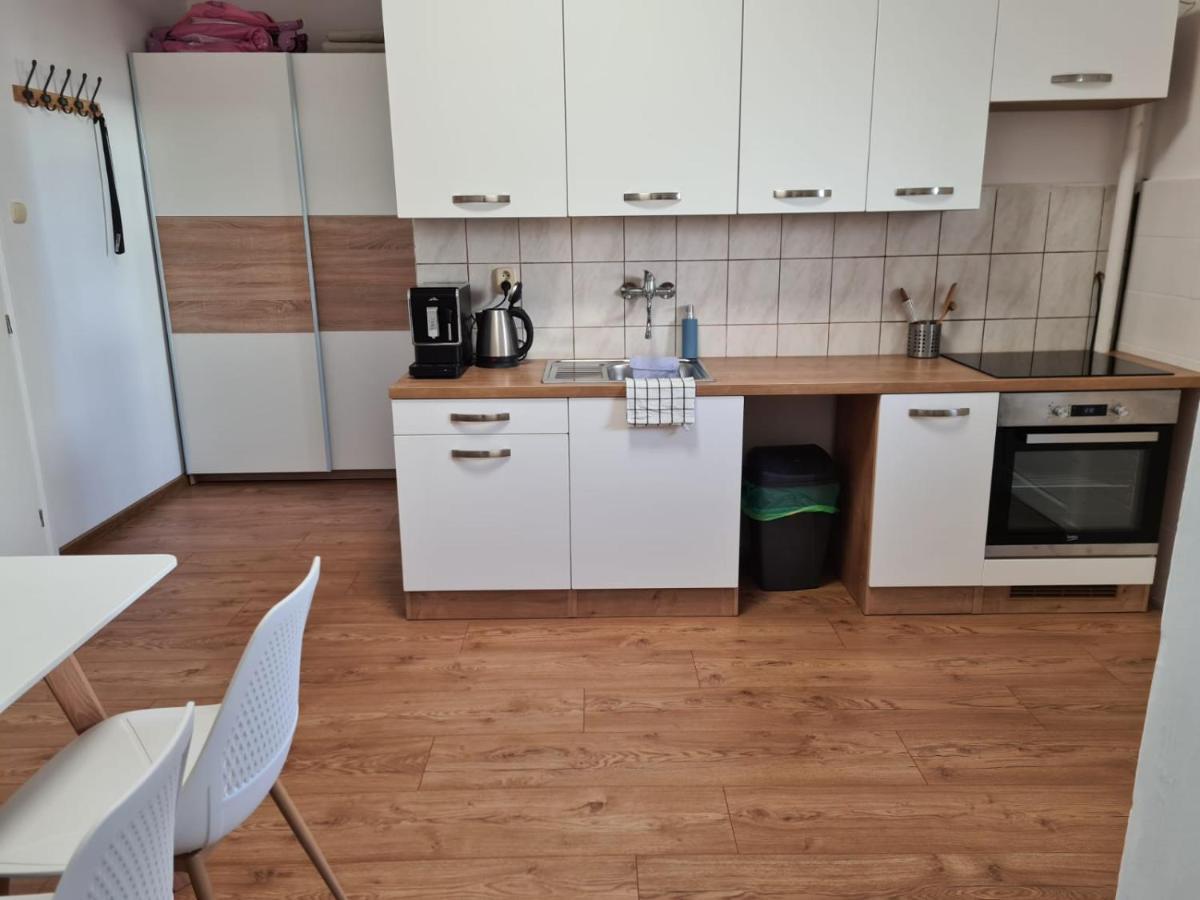 Apartmany Centro & Jacuzzi ピエシュチャニ エクステリア 写真