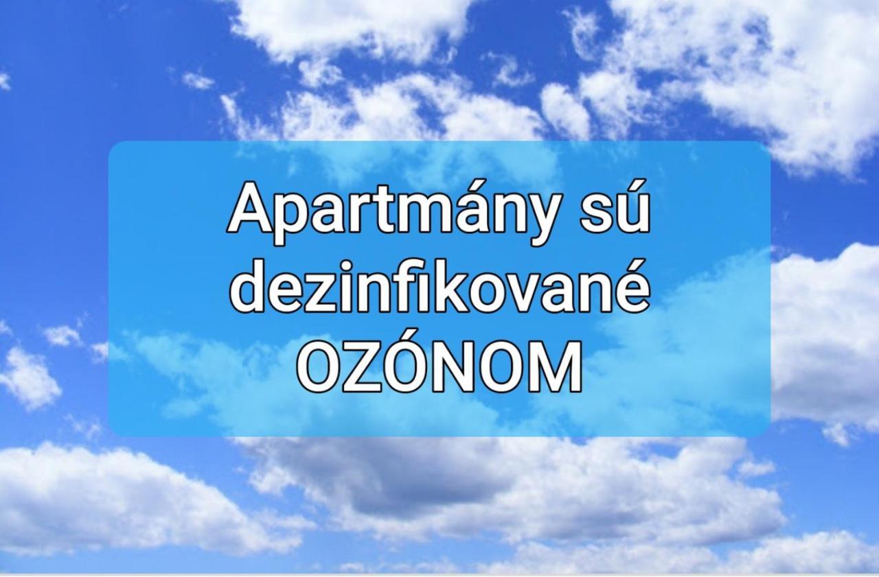 Apartmany Centro & Jacuzzi ピエシュチャニ エクステリア 写真